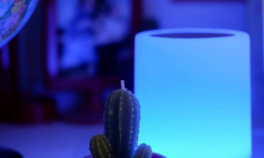 Why do Friendship Lamps make the perfect gift?