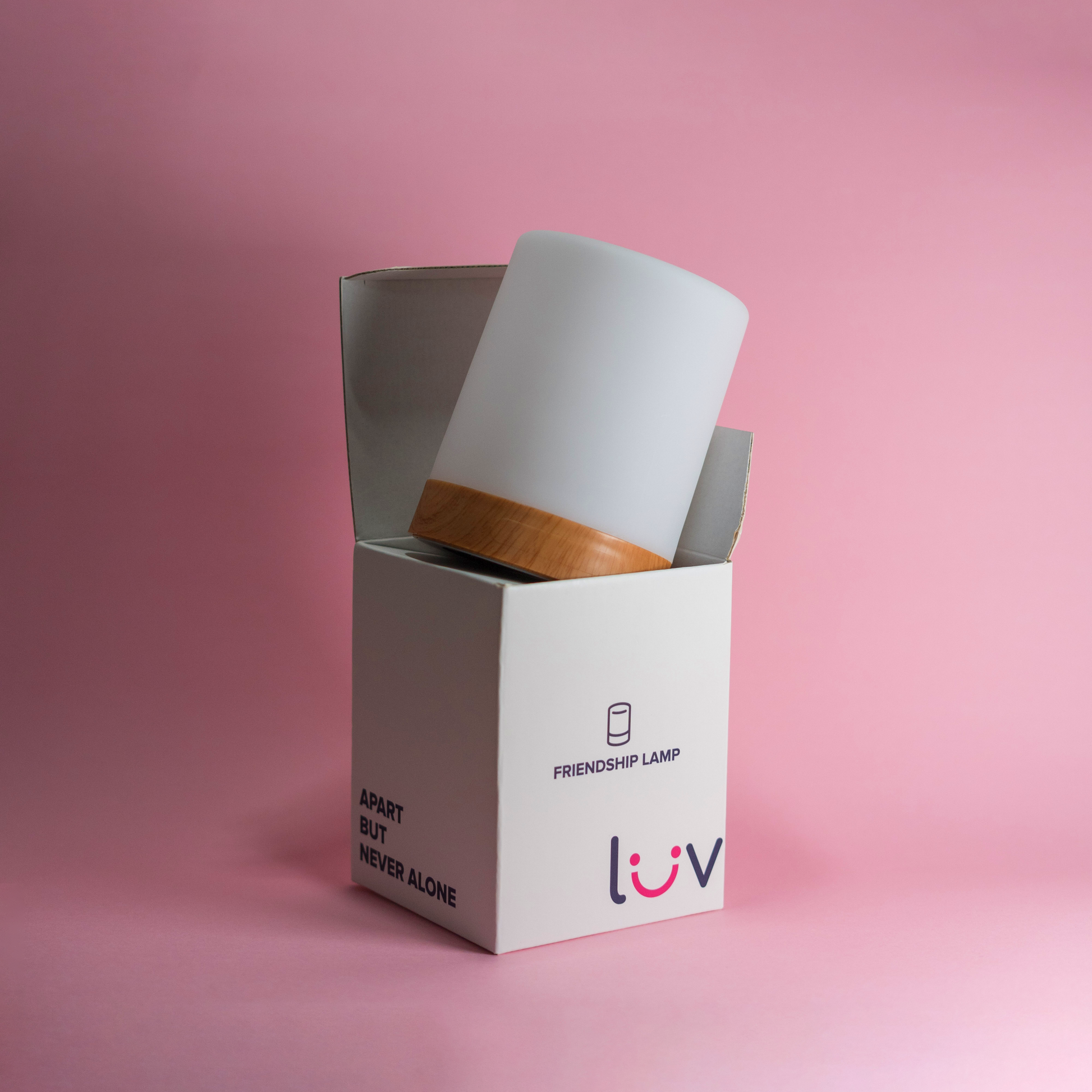 LuvLink Friendship Lamp